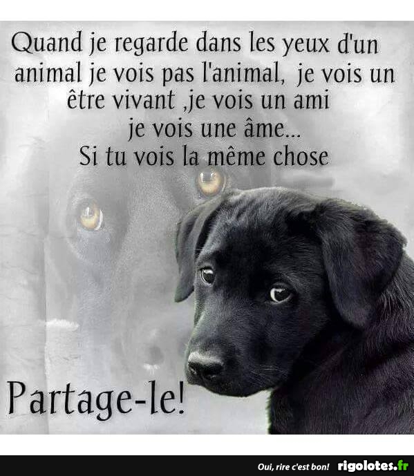 humour - Page 22 20190724