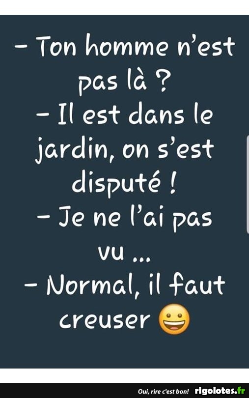 humour - Page 11 20190729