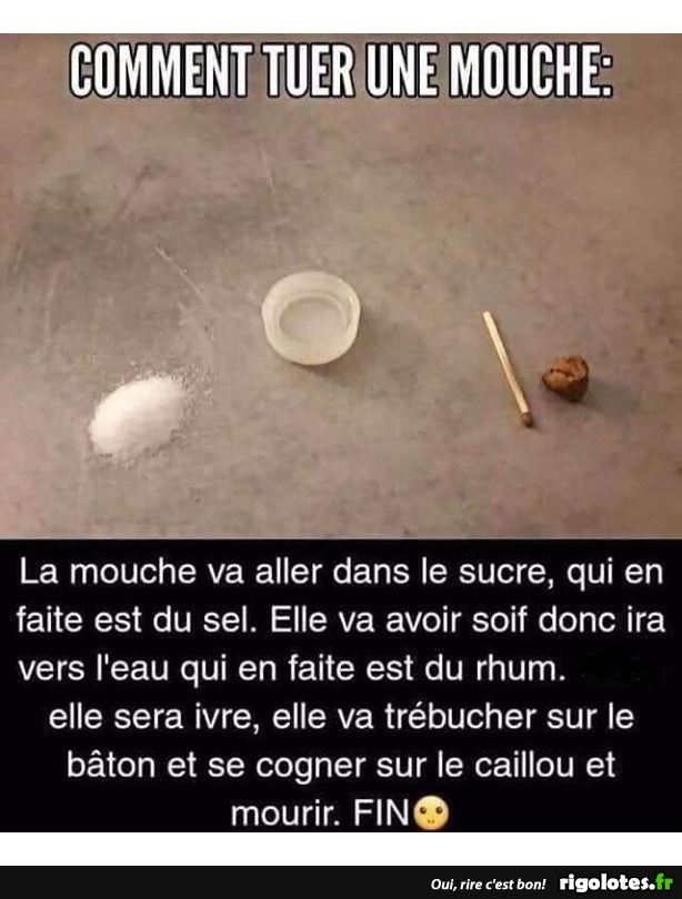 humour - Page 17 20190811