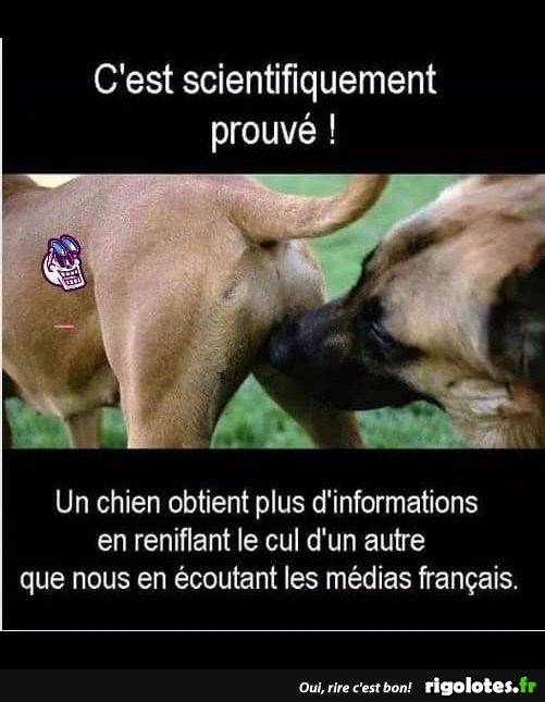 humour - Page 22 20190950