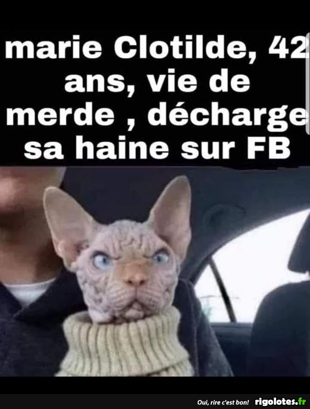 humour - Page 4 20190969