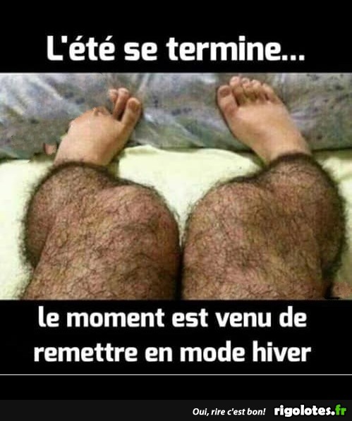 humour - Page 2 20191038