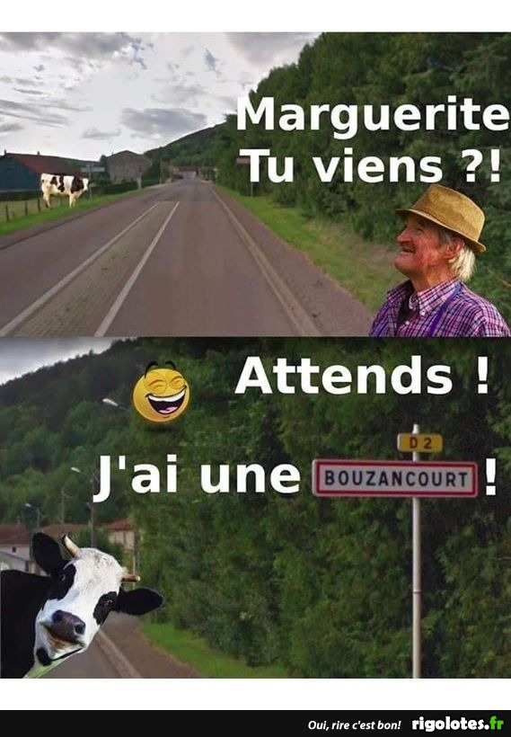 humour - Page 11 20191093