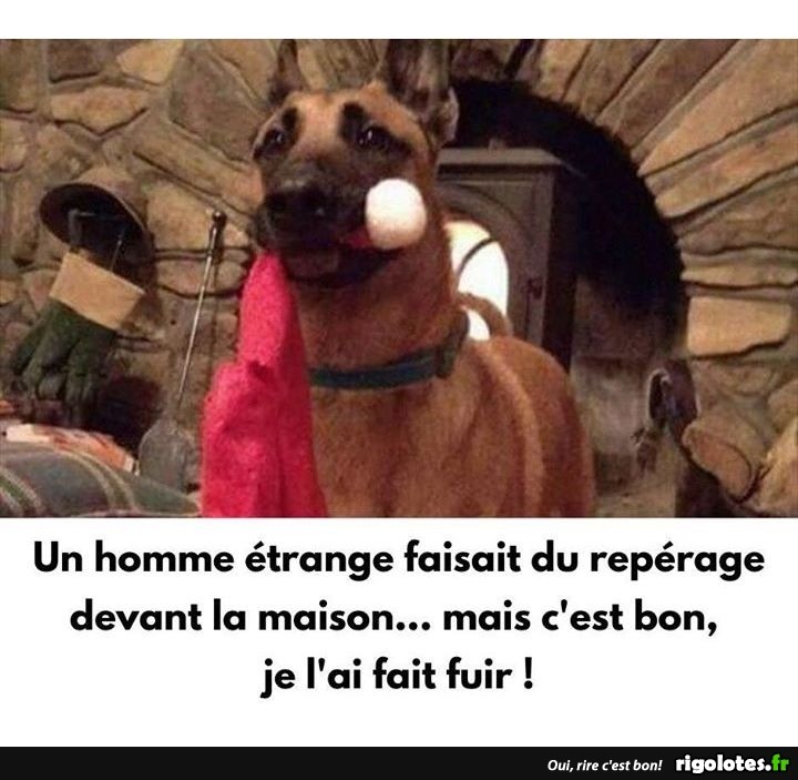 humour - Page 19 20191254