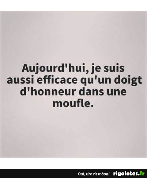 humour - Page 19 20191255