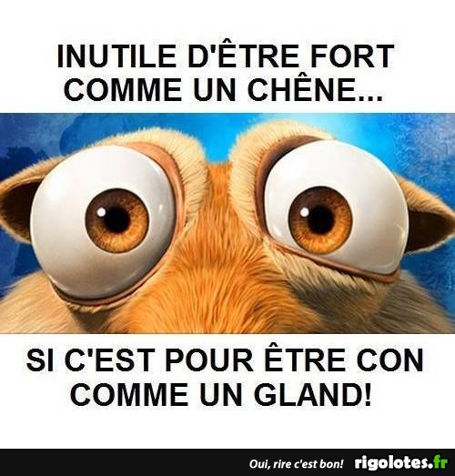 humour - Page 19 20191259