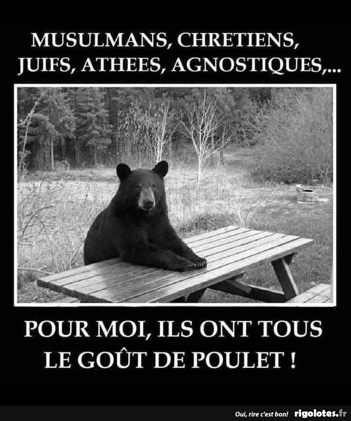 humour - Page 19 20191260