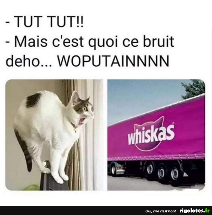 humour - Page 20 20191265