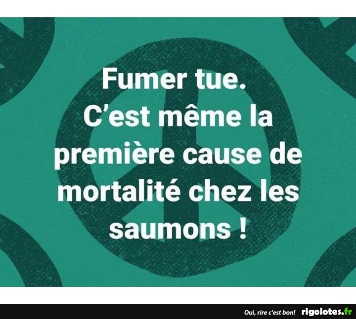 humour - Page 20 20191266