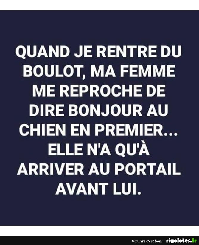 humour - Page 20 20191267