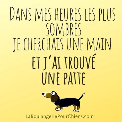 humour - Page 11 680ae411