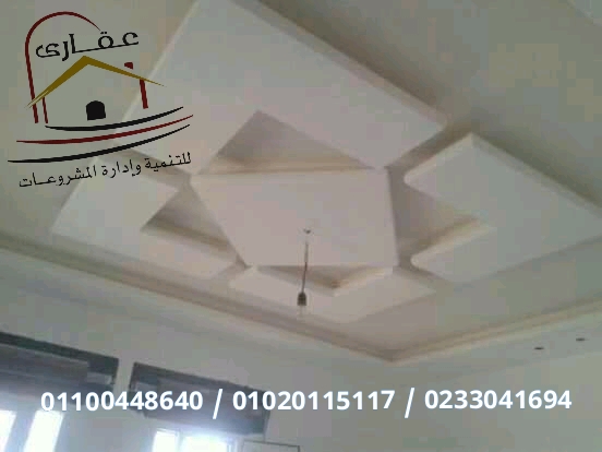 جيبسوم بورد / تصميمات ديكورات / دهانات / تشطيبات / شركة عقارى 01100448640 15814835