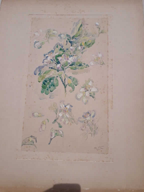 Aquarelle étude de fleurs signée Edouard Fer 20200629