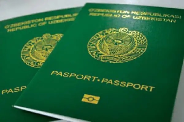 ¿Qué significa que un país tenga un pasaporte de un color u otro? 7bukw610