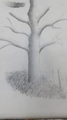 L'arbre au mille lieux Arbre14