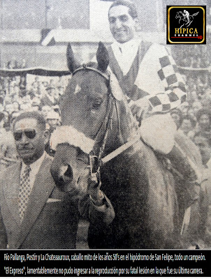 POSTIN, EL PORQUÉ ES EL PADRILLO MÁS GRANDE EN EL TURF PERUANO DE TODOS LOS TIEMPOS 824