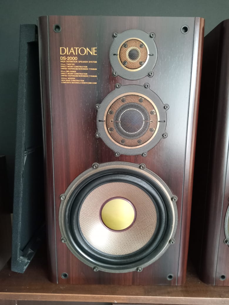 Diatone DS 2000 Whats289