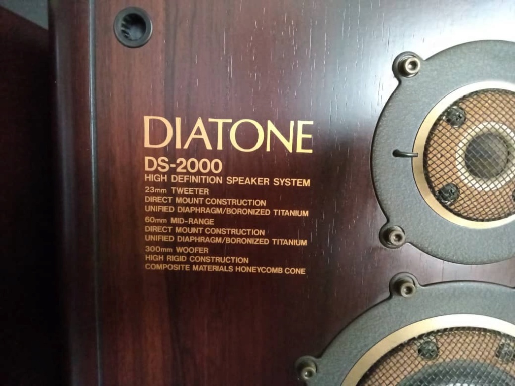 Diatone DS 2000 (hi-end) Whats422