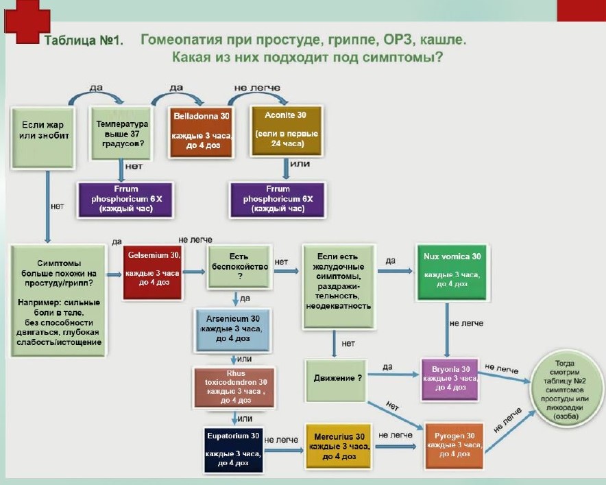 Интенсив Гомеопатия в действии (конспект) - Страница 2 222