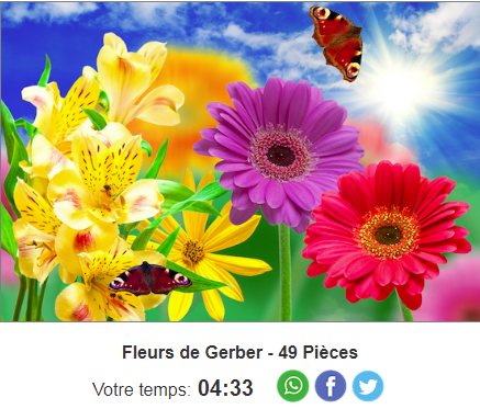 Le Puzzle du Jour En Ligne - Page 4 4_3310