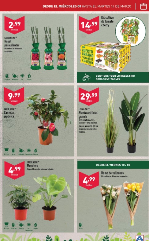 Ofertas semanales de jardinería en ALDI y LIDL - Página 4 Aldi_219