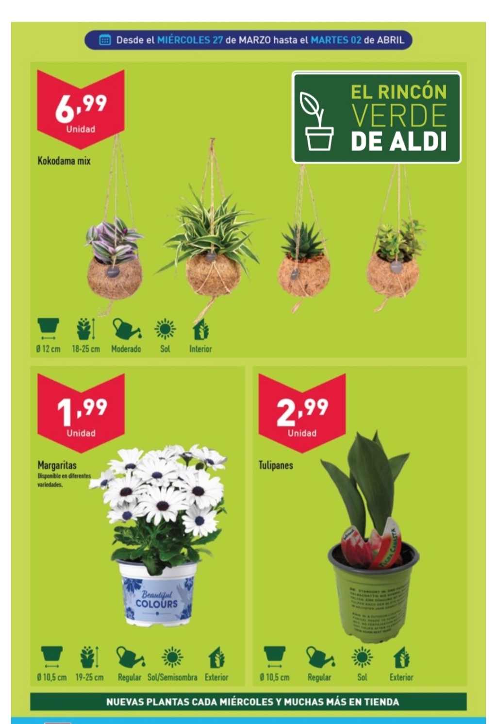 Ofertas semanales de jardinería en ALDI y LIDL - Página 18 Img_2023