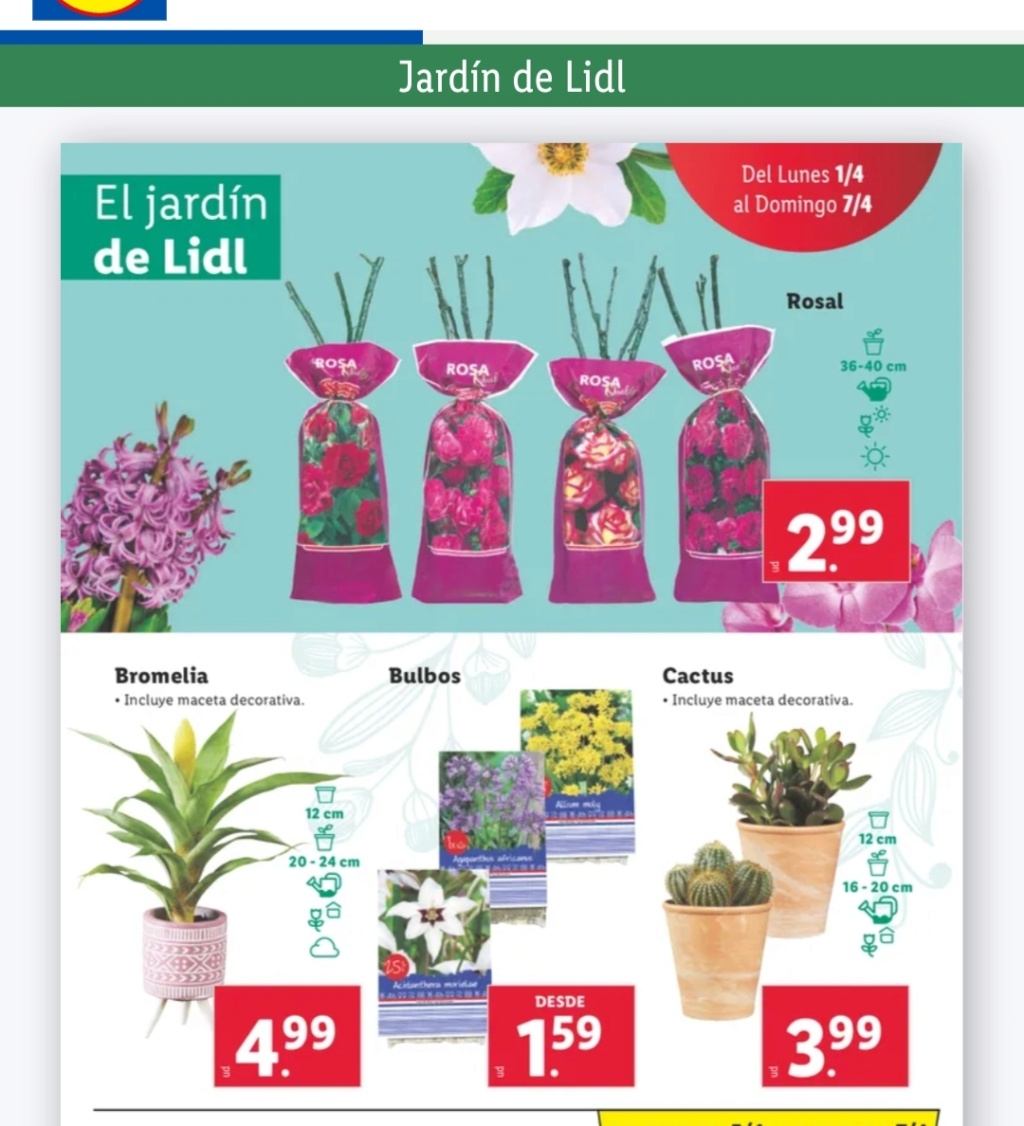 Ofertas semanales de jardinería en ALDI y LIDL - Página 18 Img_2024