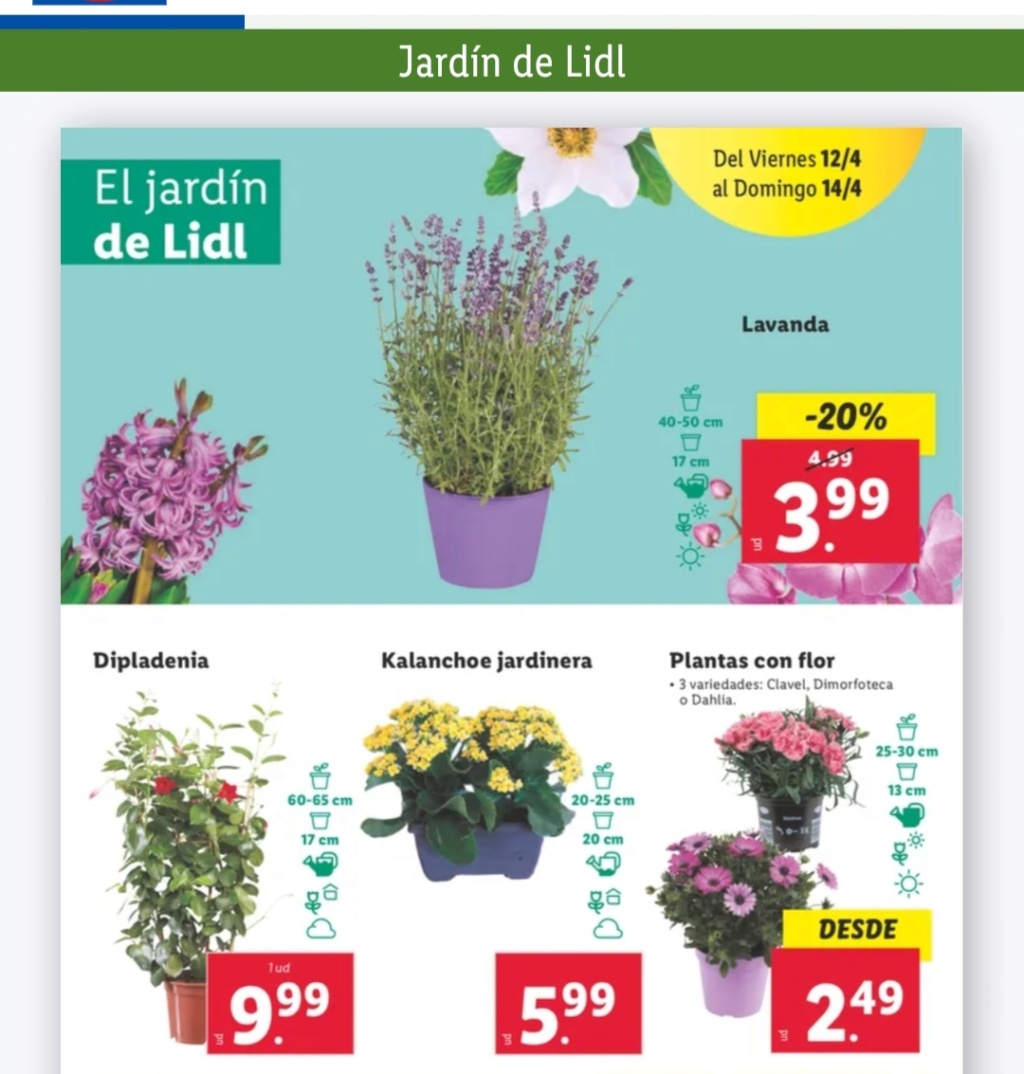 Ofertas semanales de jardinería en ALDI y LIDL - Página 18 Img_2047