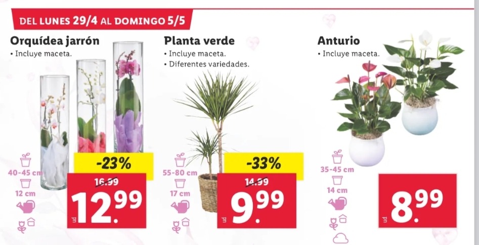 Ofertas semanales de jardinería en ALDI y LIDL - Página 19 Img_2064