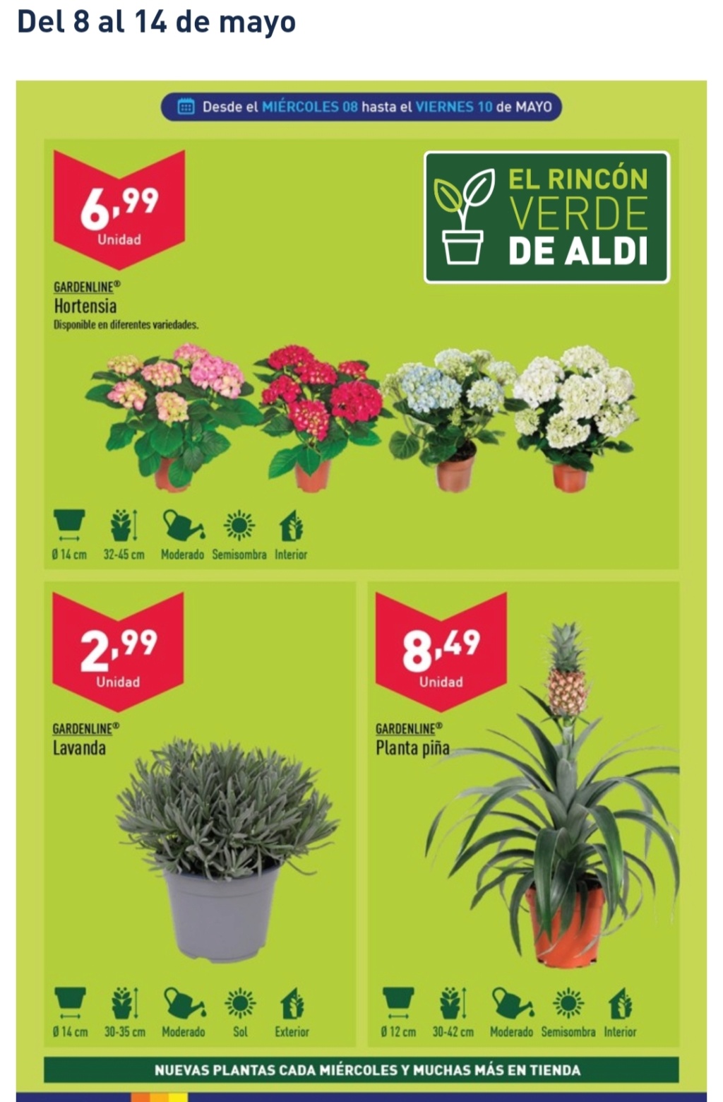 Ofertas semanales de jardinería en ALDI y LIDL - Página 20 Img_2082