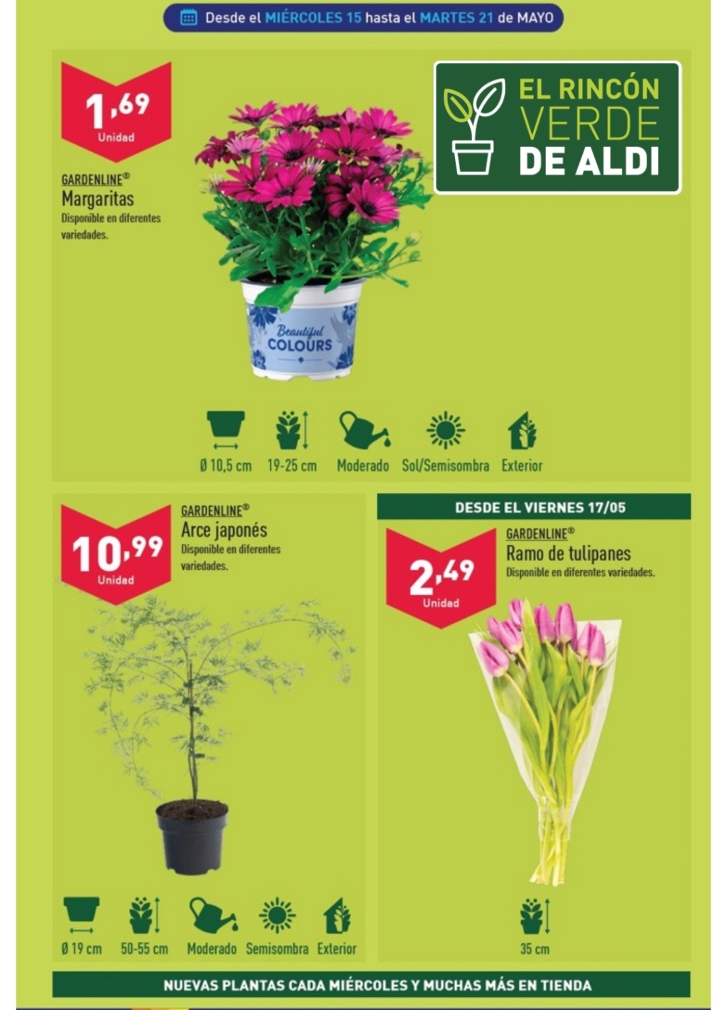 Ofertas semanales de jardinería en ALDI y LIDL - Página 20 Img_2086