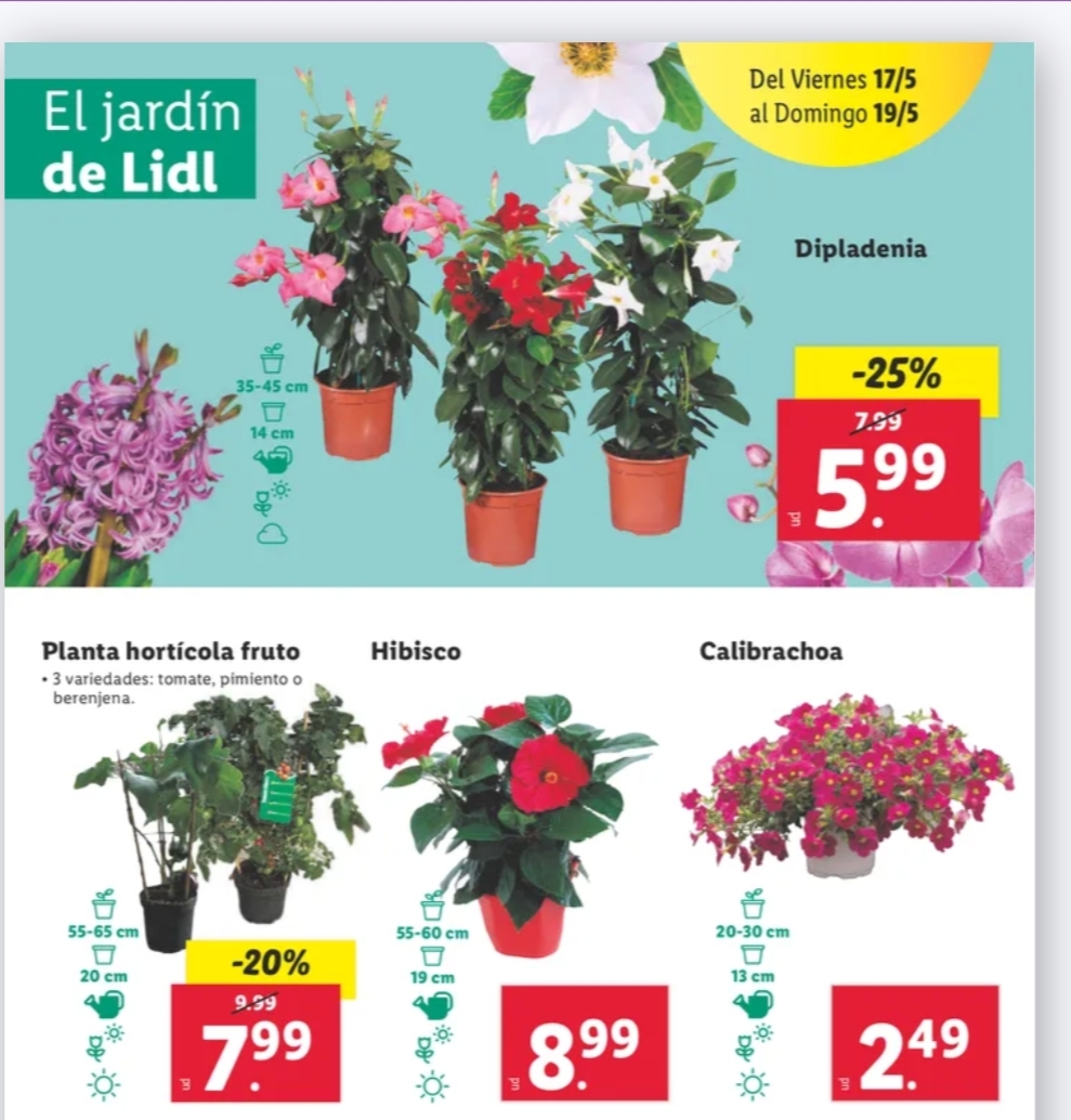 Ofertas semanales de jardinería en ALDI y LIDL - Página 20 Img_2087