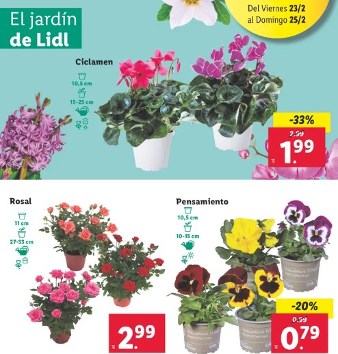 Ofertas semanales de jardinería en ALDI y LIDL - Página 15 Lidl_104