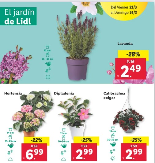 Ofertas semanales de jardinería en ALDI y LIDL - Página 18 Lidl_119