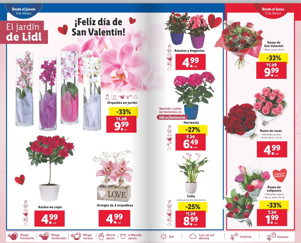 Ofertas semanales de jardinería en ALDI y LIDL - Página 2 Lidl_212