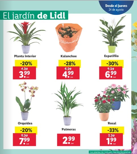 Ofertas semanales de jardinería en ALDI y LIDL - Página 11 Lidl_263