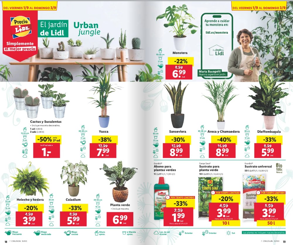 Ofertas semanales de jardinería en ALDI y LIDL - Página 11 Lidl_265