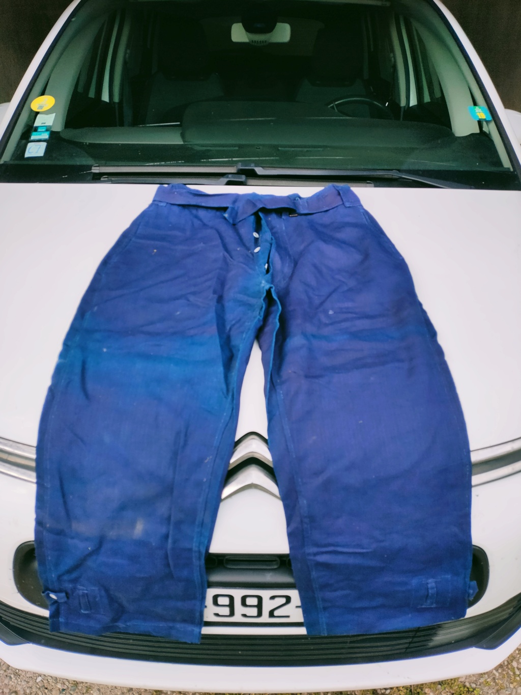 Estimation pantalon bourgeron bleu Img20232
