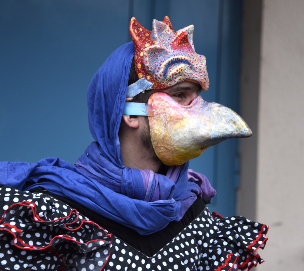 Carnaval des Libertes à Aubusson Lan_7436