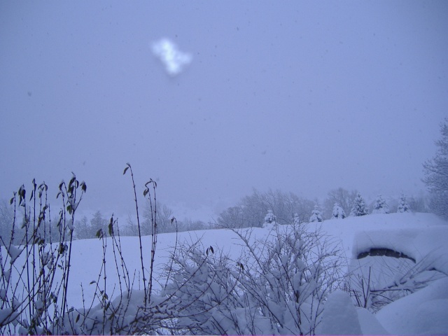 <@¿@> du 10 décembre : neige au microscope Dscf0610