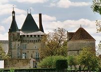 Châteaux de la Loire Talcy_10