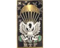 1er R.T.P. - Régiment de Train Parachutistes