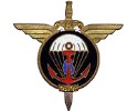 6° R.P.I.M.A. - Régiment de Parachutistes d'Infanterie de Marine