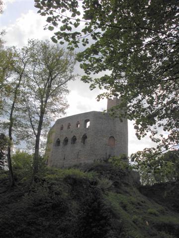 Roxane visite les châteaux-forts alsaciens Dsc03816