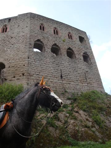 Roxane visite les châteaux-forts alsaciens Dsc03818