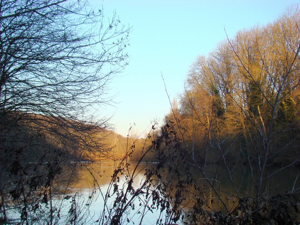 balade au bord de charente Bords_29