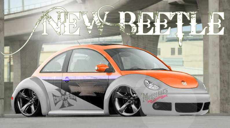 New beetle Image410
