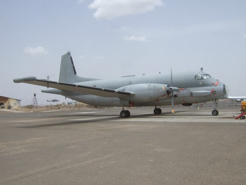 Sur les côtes de Djibouti, y bien l'Atlantique ? 2007_011