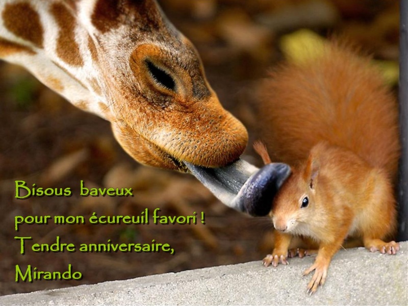 JOYEUX ANNIVERSAIRE ECUREUIL ! - Page 3 Annifa10