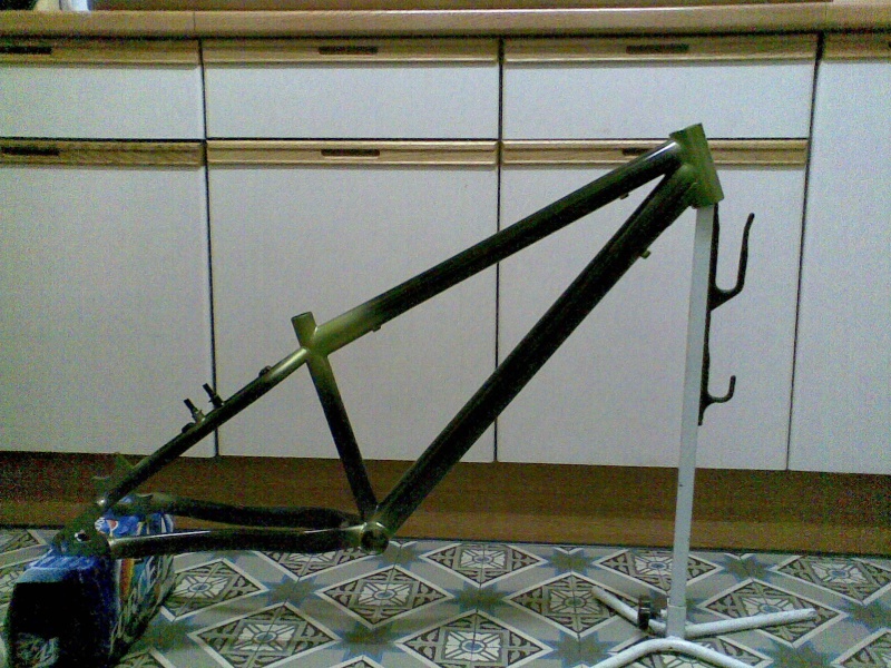 mon new biclo Photo010